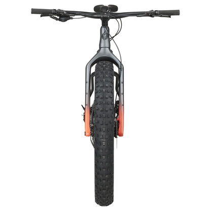 Salsa Beargrease Carbon Cues 11 Komplettrad, 27.5", gray
