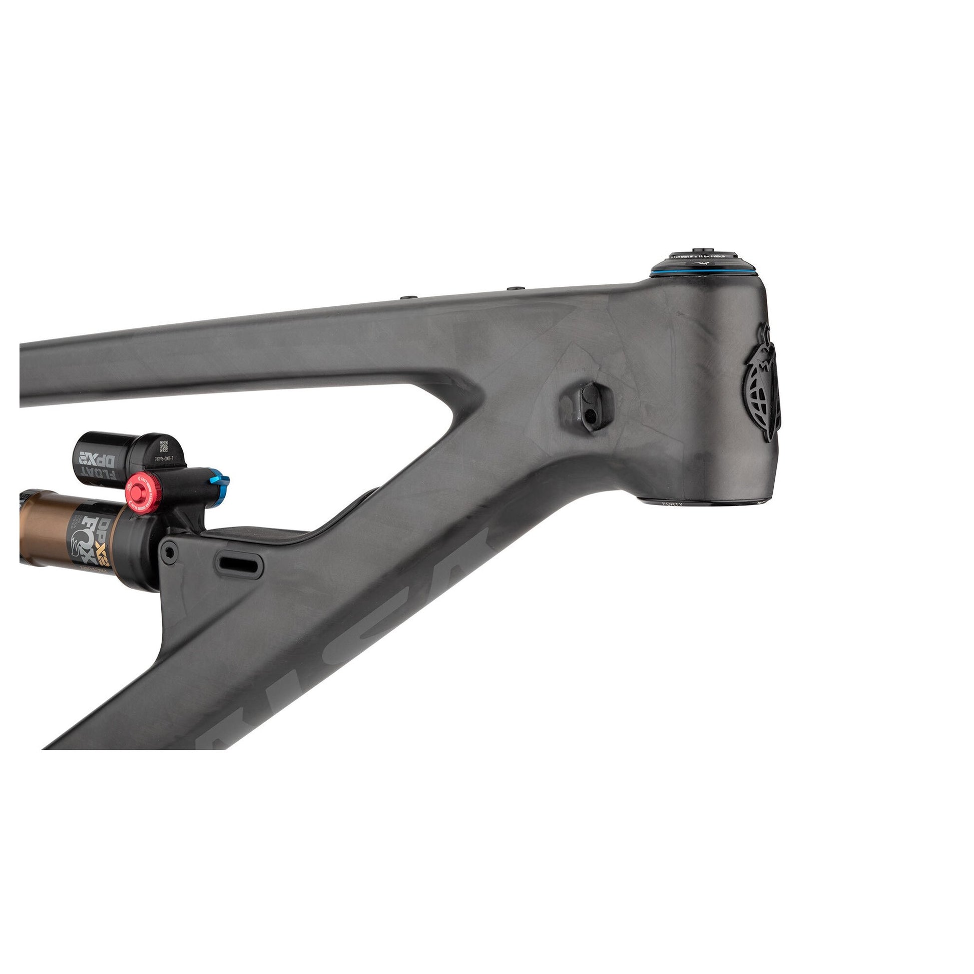 Salsa Blackthorn Carbon Rahmen, 29", carbon raw