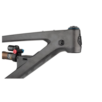 Salsa Blackthorn Carbon Rahmen, 29", carbon raw