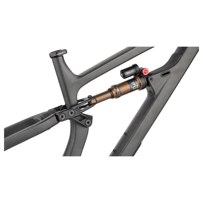 Salsa Blackthorn Carbon Rahmen, 29", carbon raw