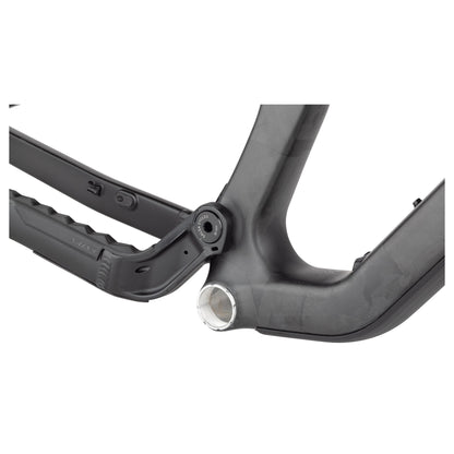 Salsa Blackthorn Carbon Rahmen, 29", carbon raw