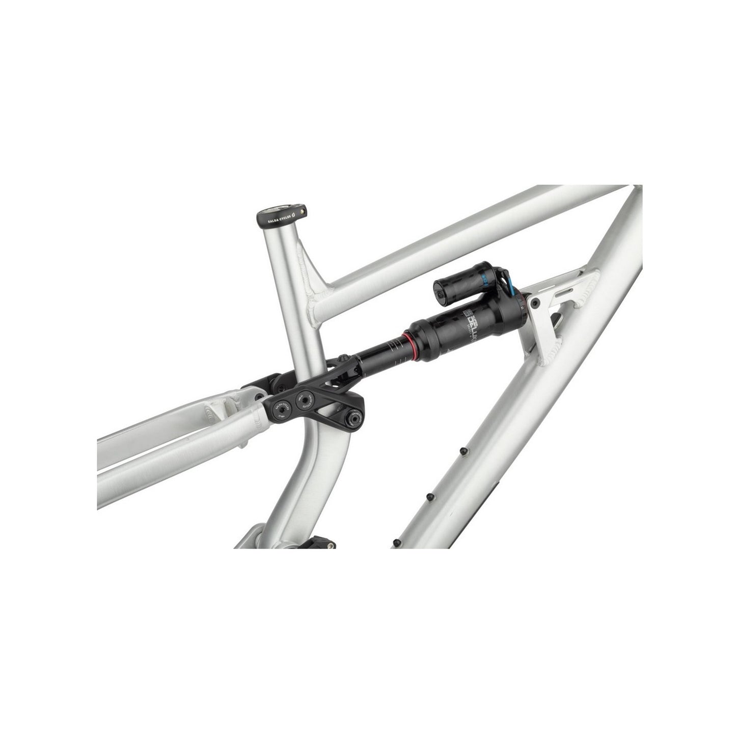 Salsa Cassidy Aluminium Rahmen, 29", brushed aluminium