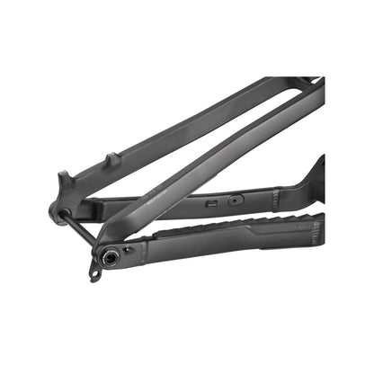Salsa Cassidy Carbon Rahmen, 29", carbon raw