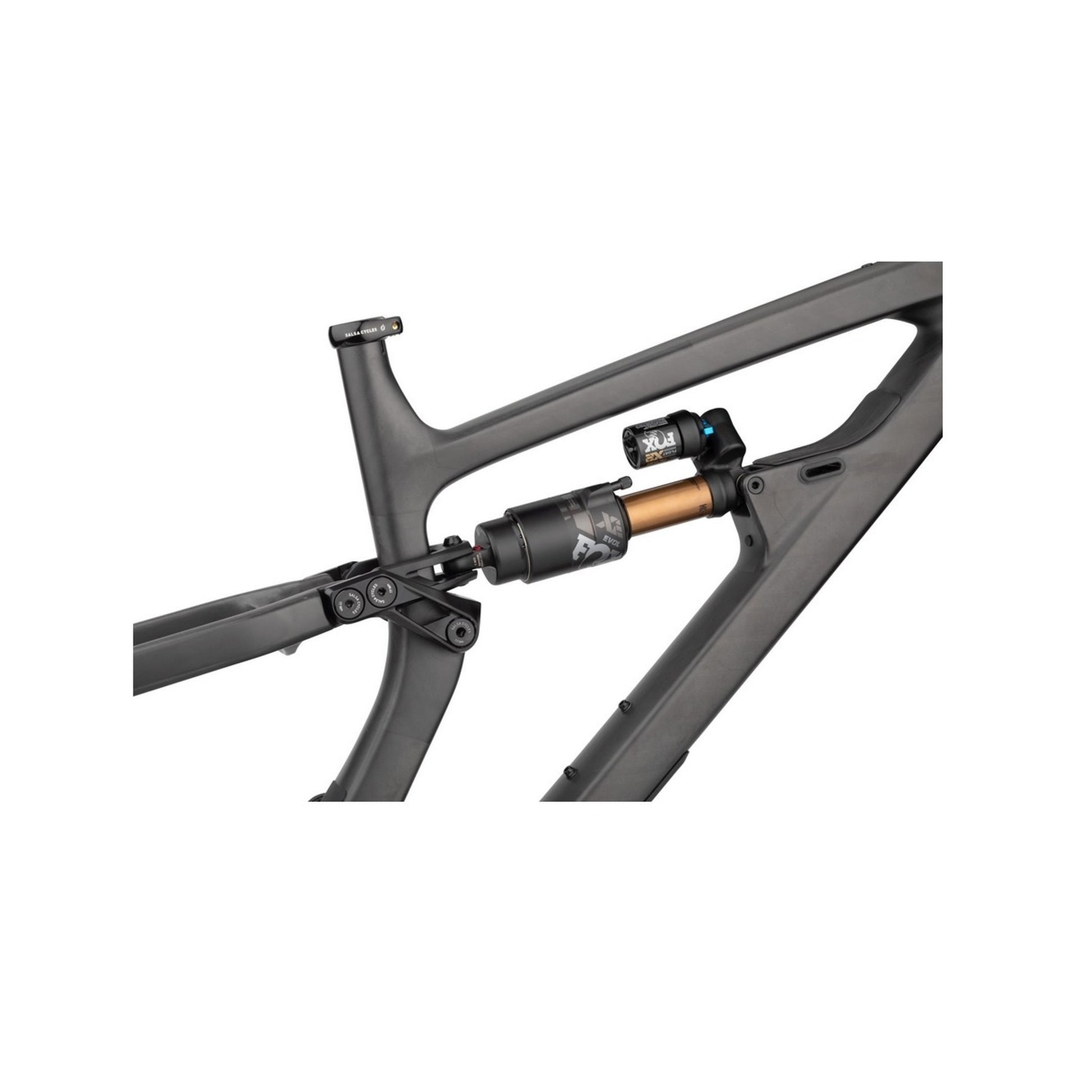 Salsa Cassidy Carbon Rahmen, 29", carbon raw