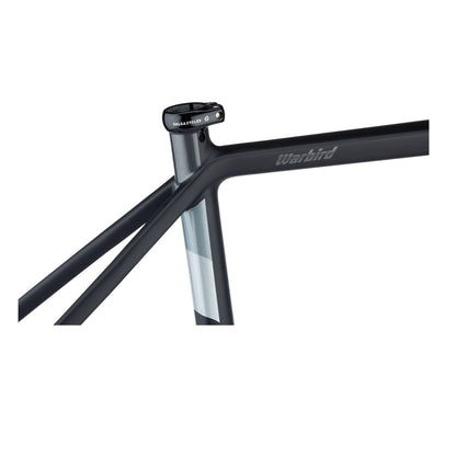 Salsa Warbird Carbon Gravel Rahmenkit, 650B/700C, black