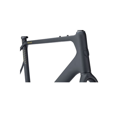 Salsa Warroad Carbon Allroad Rahmenkit, 650B/700C, black